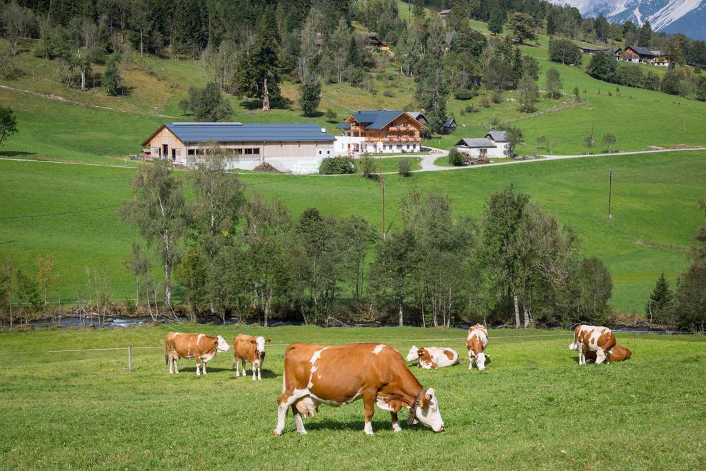 Villa Rojerhof Schladming Exterior foto